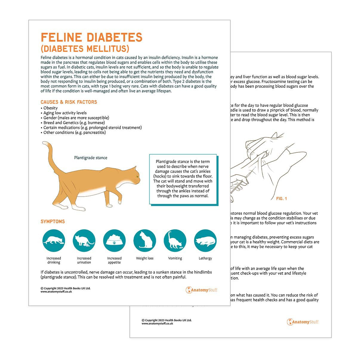 Cat Diabetes Pet Owner Education Handout
