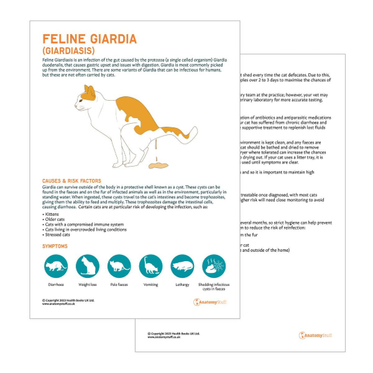 Feline Giardia Pet Owner Education Handout