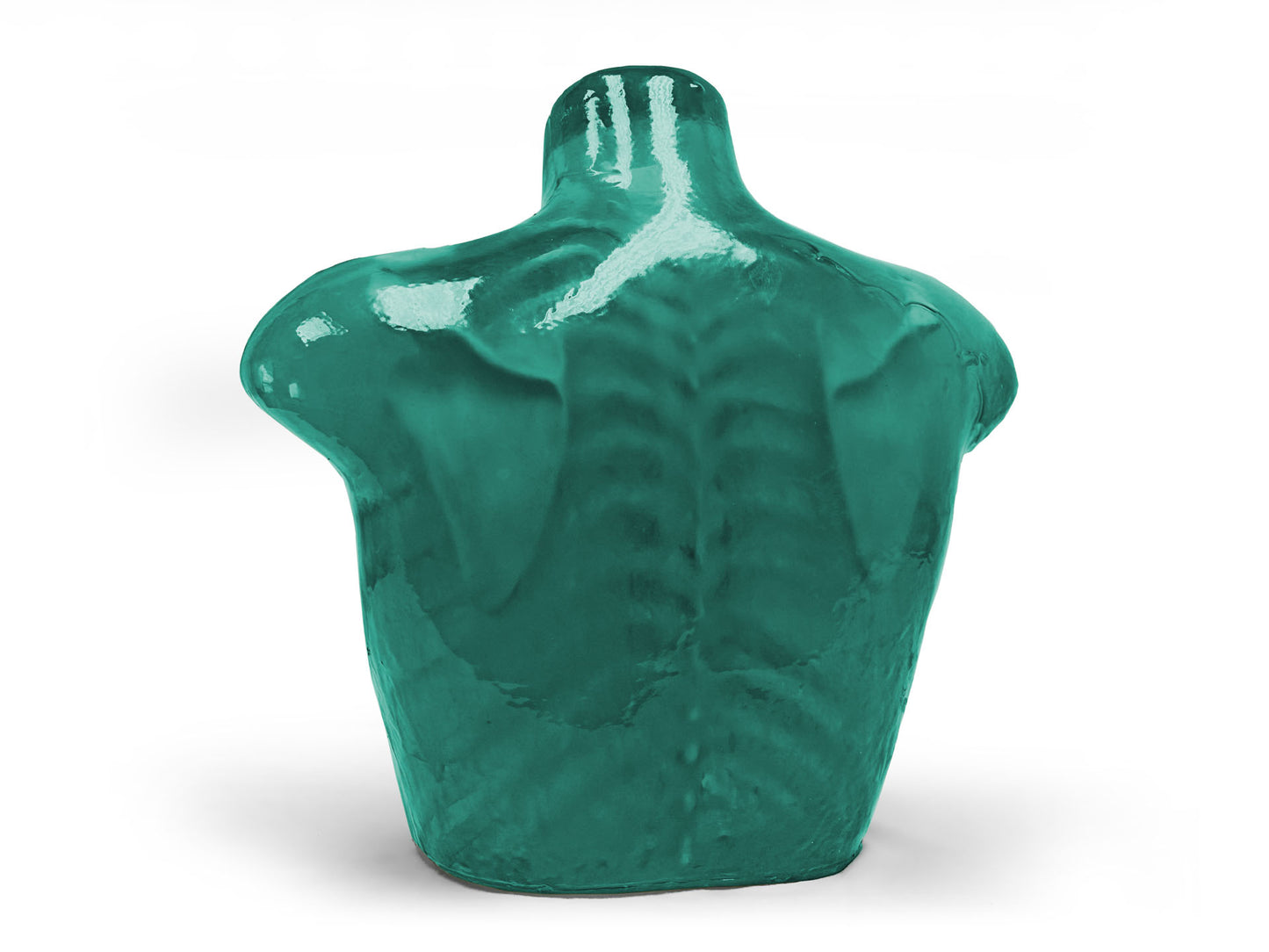 FLX02 Adult Chest Phantom for X-Ray CT, US

