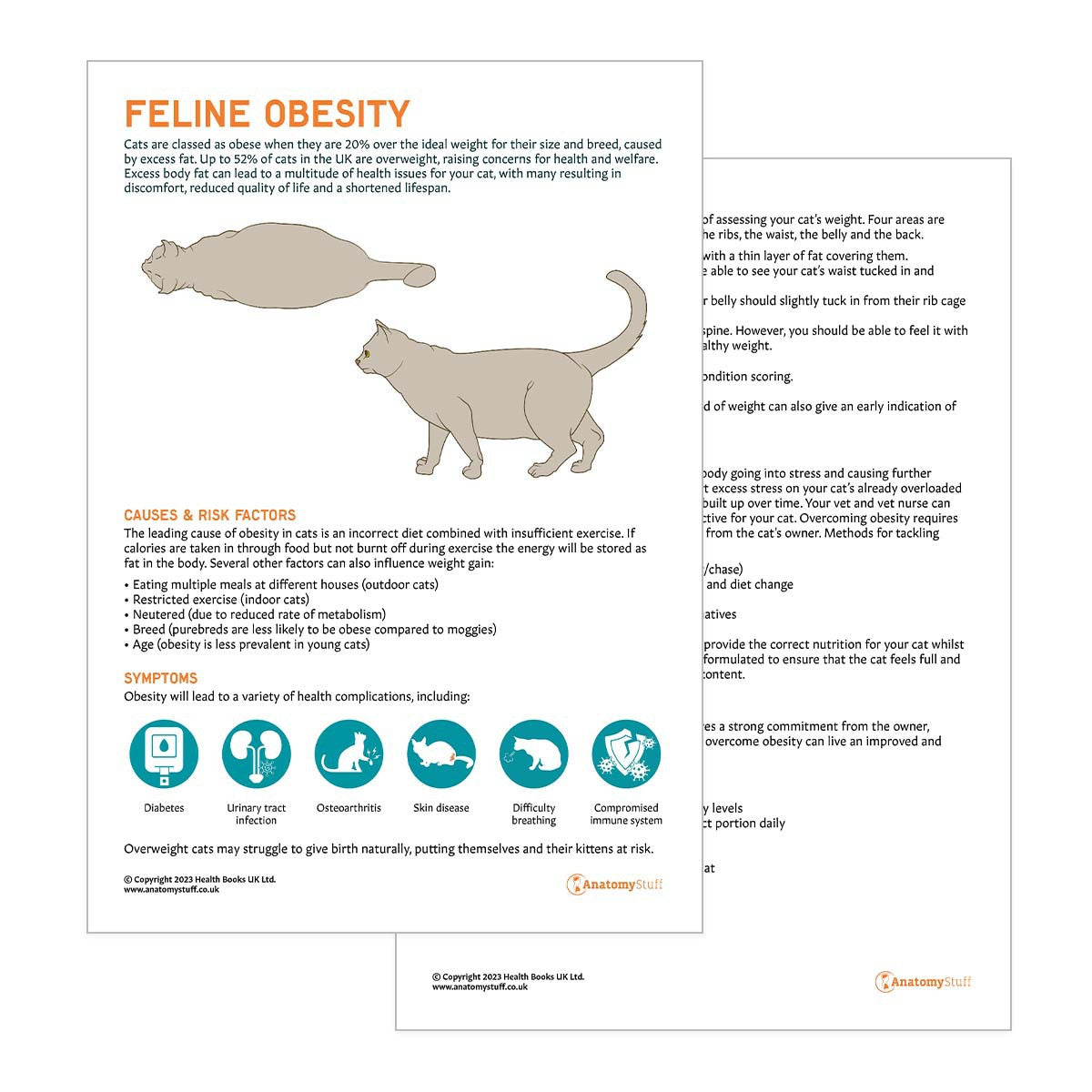 Feline Obesity Pet Owner Education Handout (Printable PDF)