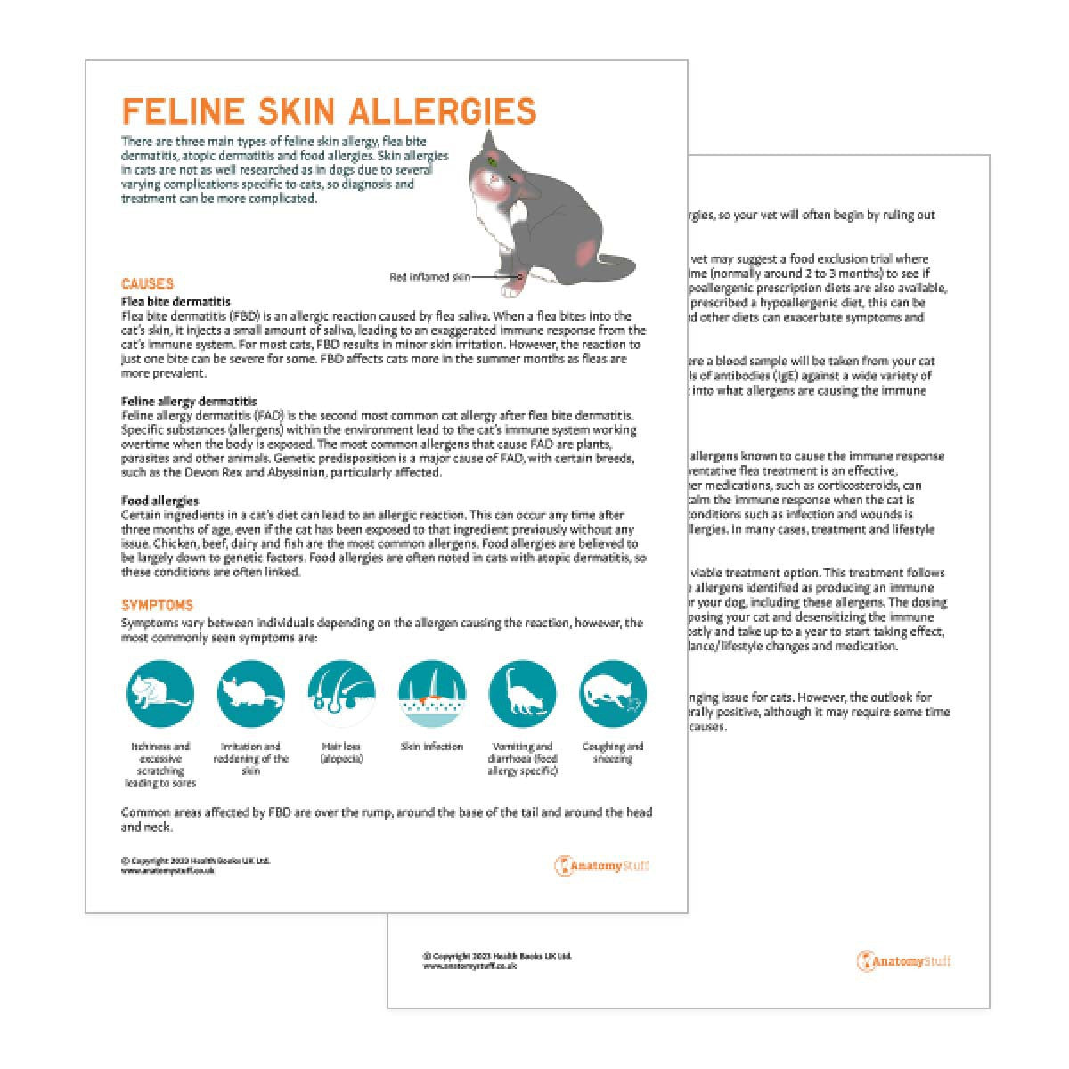 Feline Skin Allergies Pet Owner Education Handout