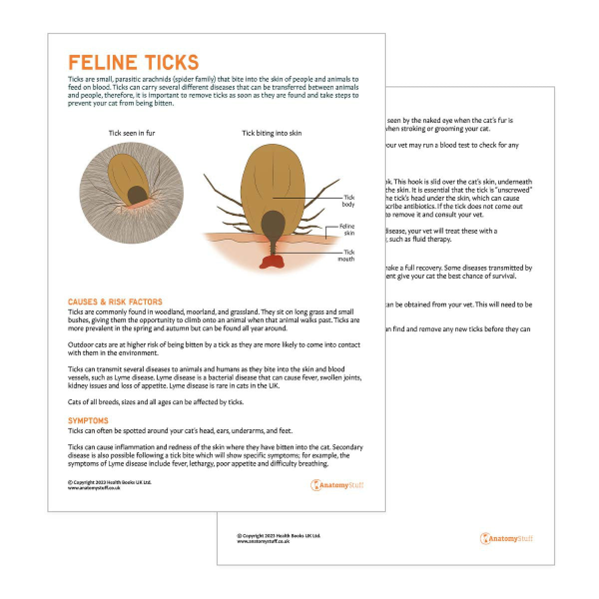 Feline Ticks Pet Owner Education Handout