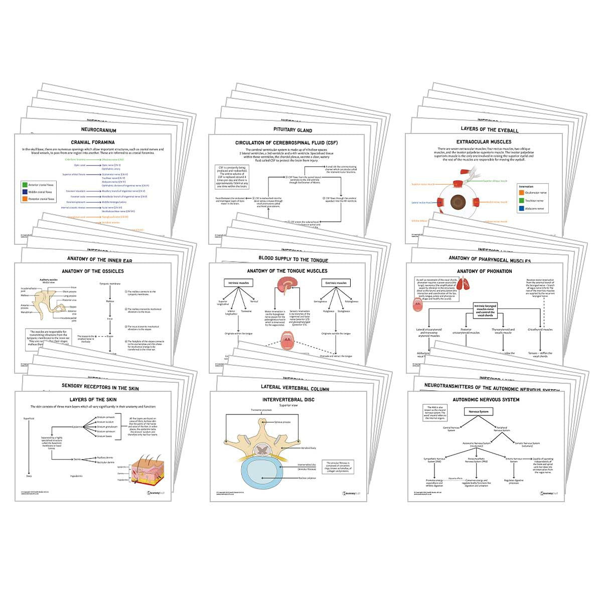 Education Resources AnatomyStuff Education resources anatomystuff