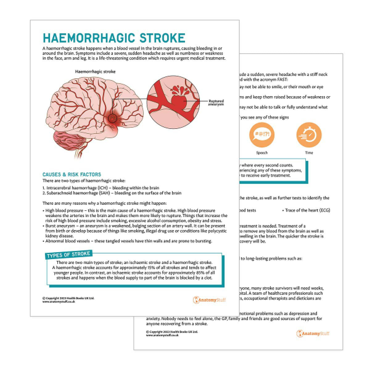 Haemorrhagic Stroke Patient Education Handout