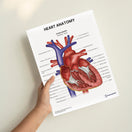 Switch Heart Anatomy Print (Small 8x10&quot;) 2 image