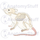 Switch Mouse Skeleton Illustration 2 image