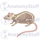 Switch Rat Skeleton Illustration 2 image