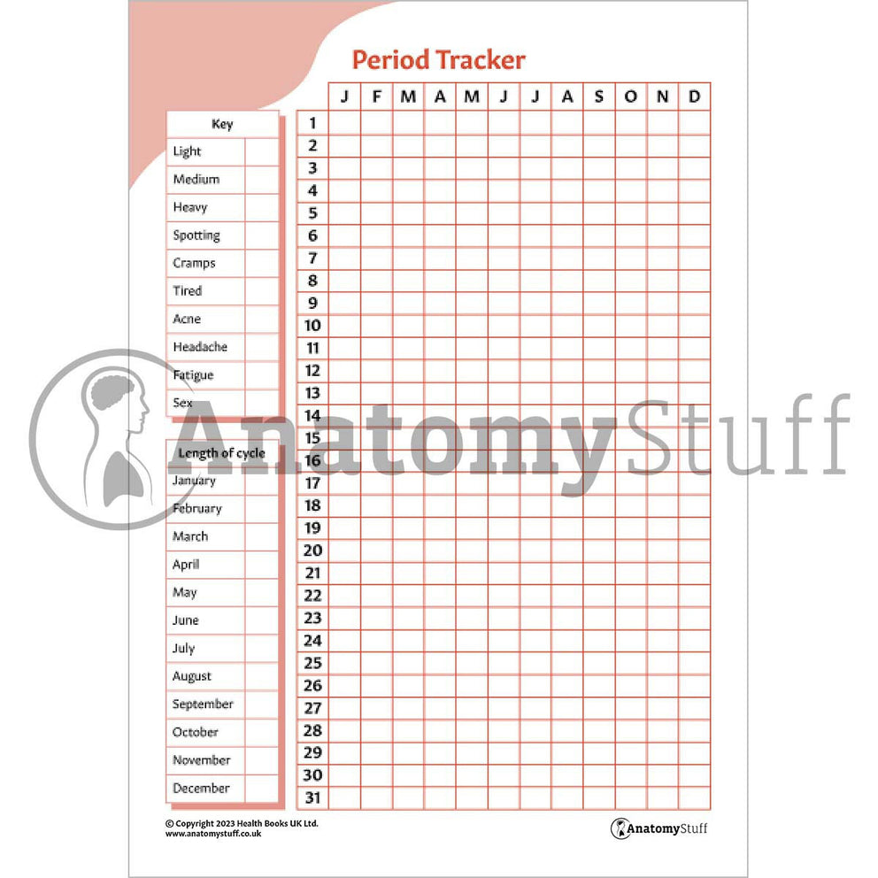 Women's Health Digital Downloads – AnatomyStuff