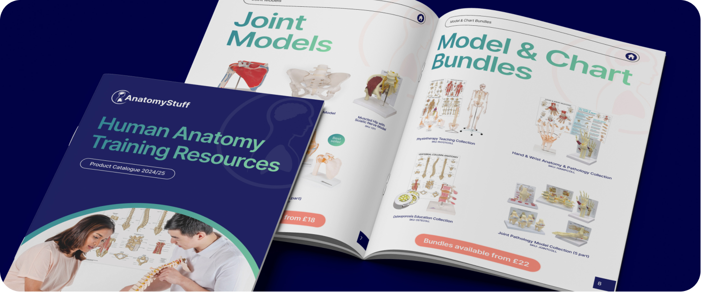 Download Our Latest Brochure