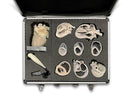 Switch Canine Echocardiography Kit VET4830 contents 2 image