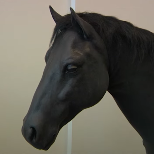 <span class='visually-hidden'>Load video: </span>1