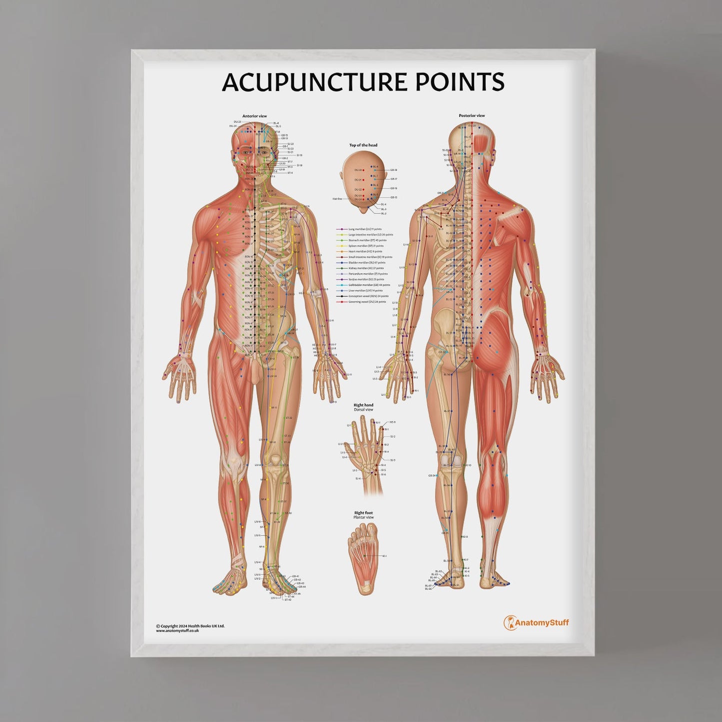 Acupuncture Points Chart / Poster