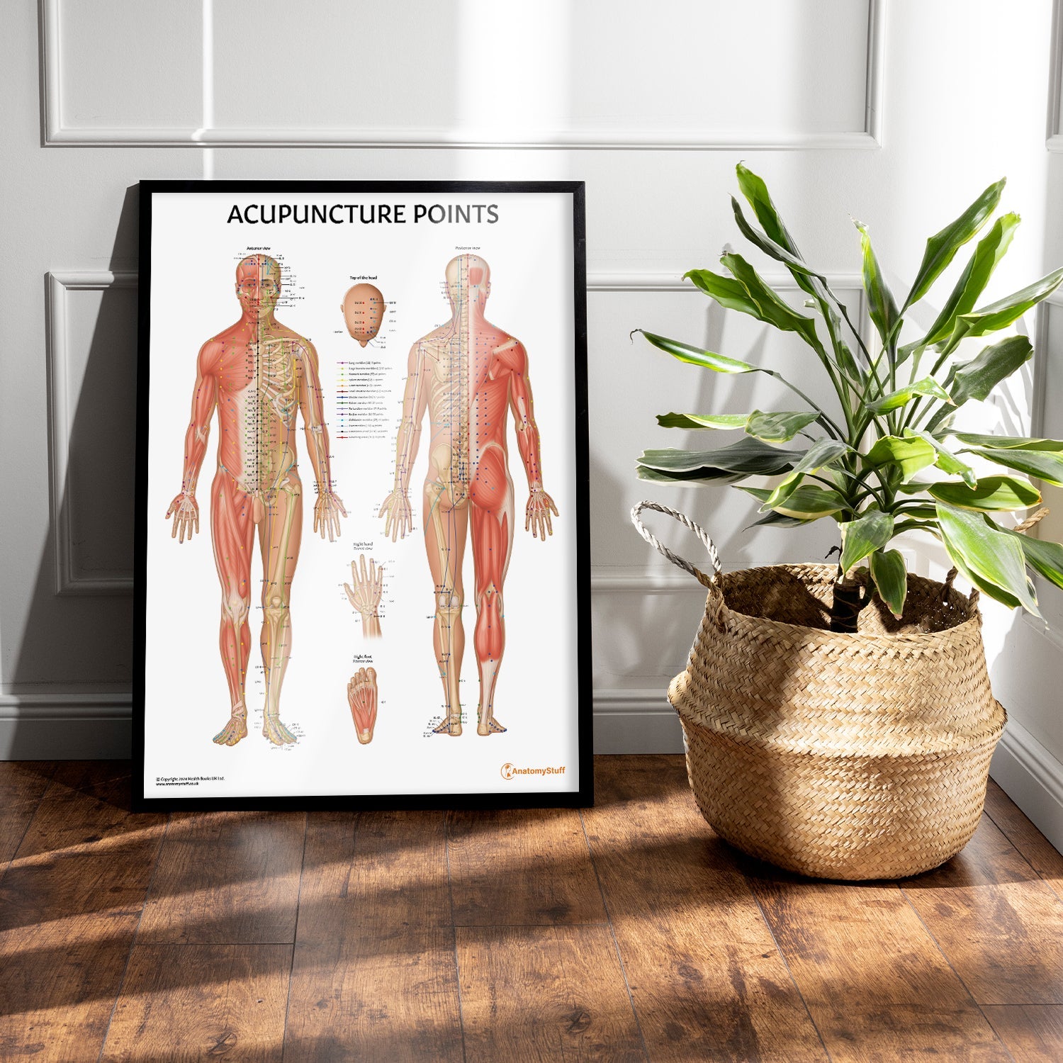 Acupuncture Points Chart / Poster