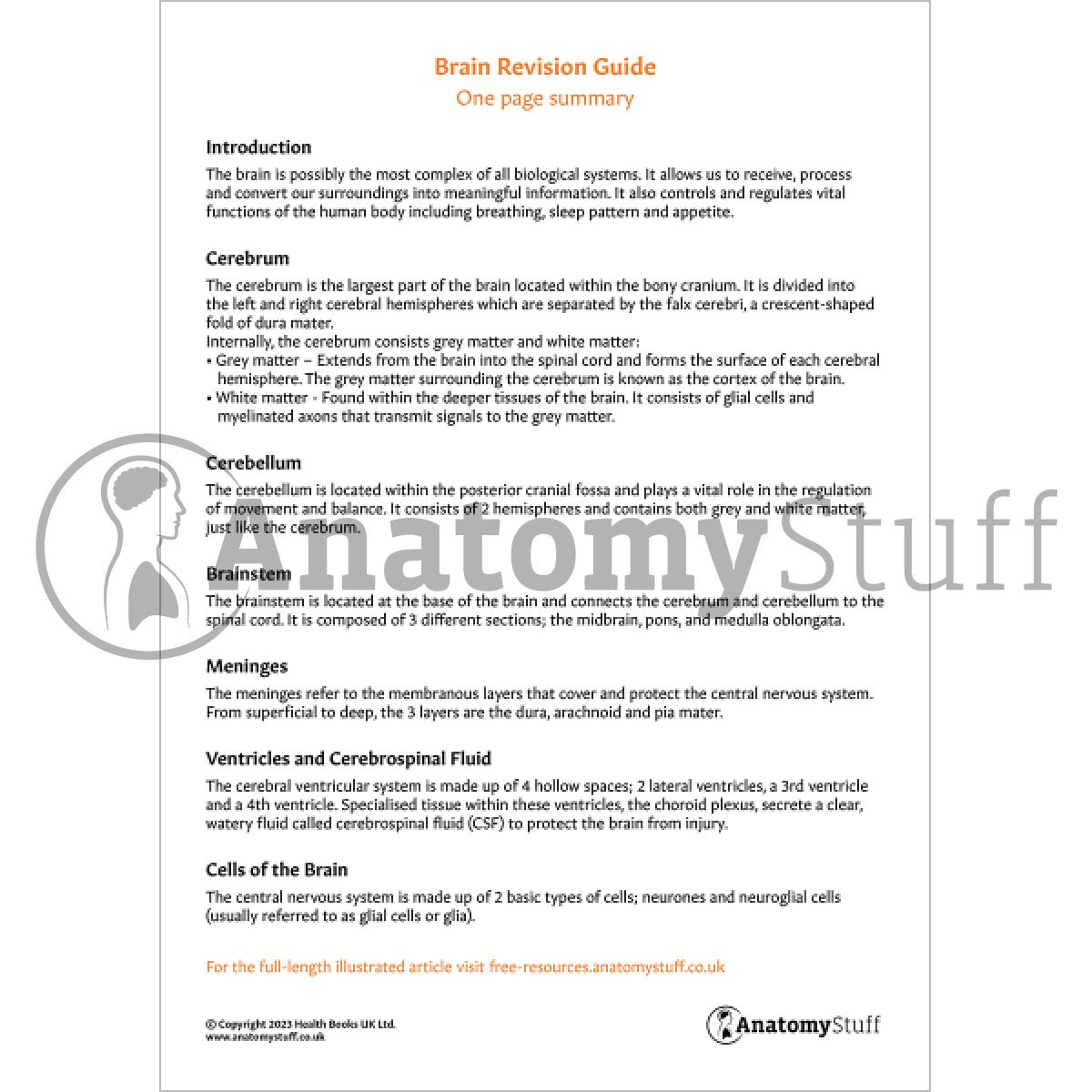 Brain Revision One Page Summary