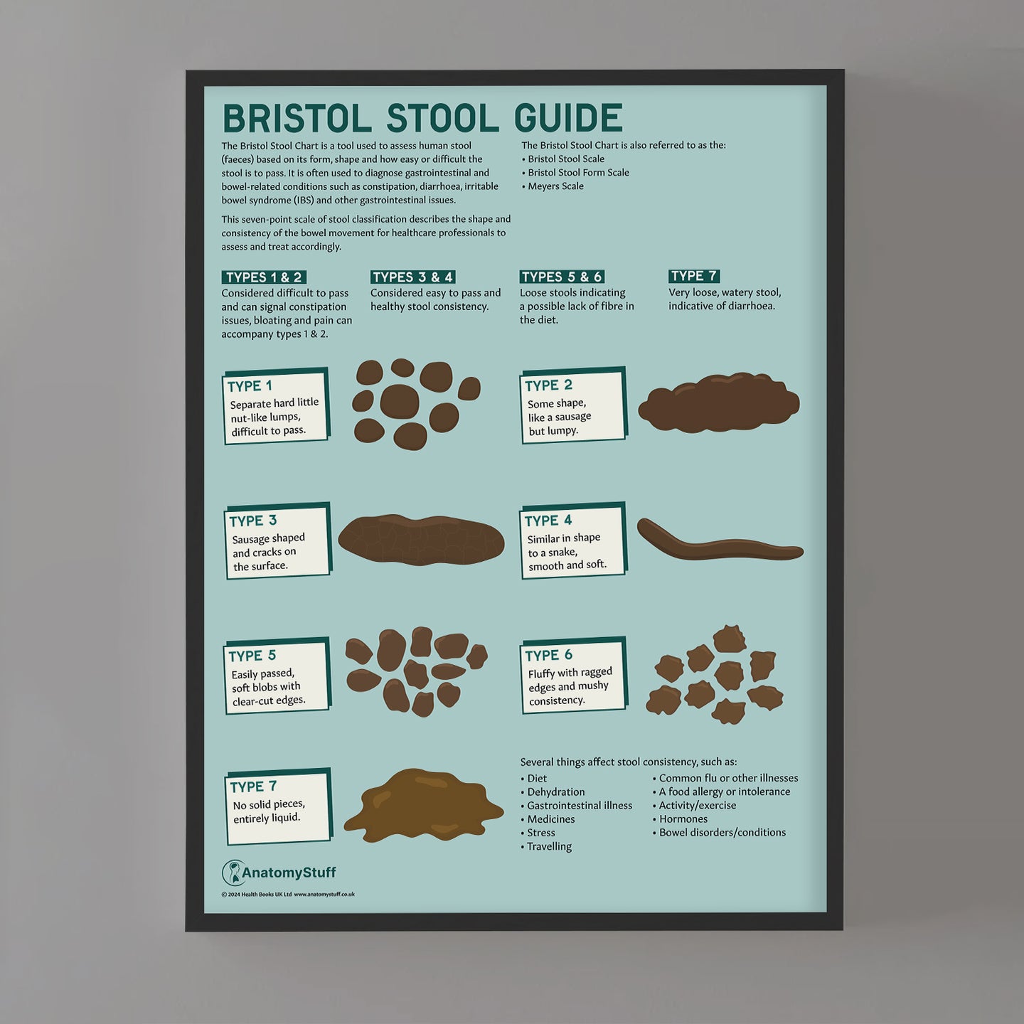 Bristol Stool Chart Poster | Illustrated Bowel Health Chart – AnatomyStuff