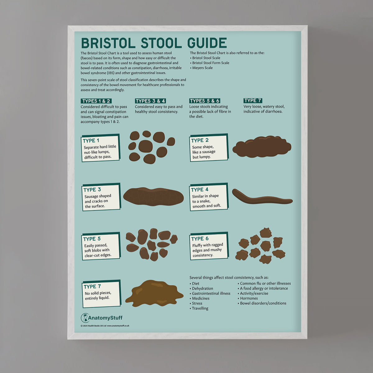 Bristol Stool Chart Poster | Illustrated Bowel Health Chart – AnatomyStuff