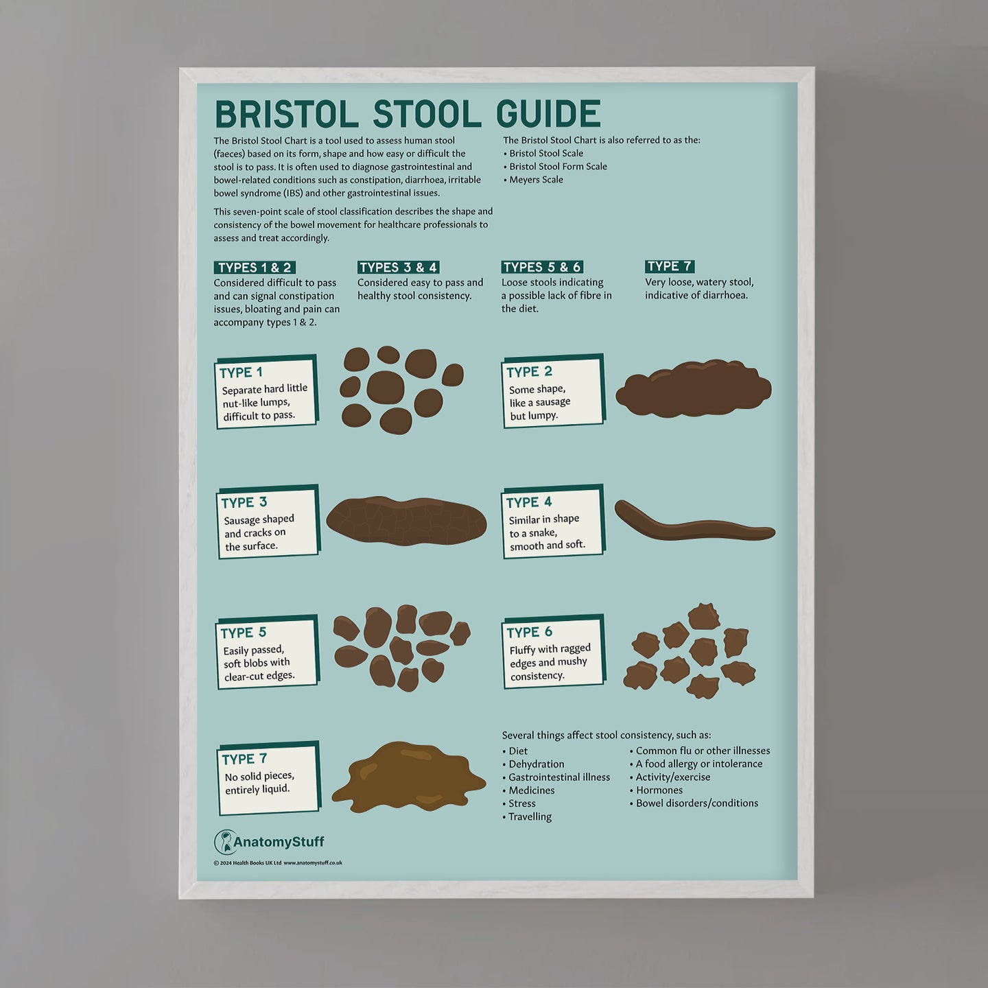 Bristol Stool Chart Poster | Illustrated Bowel Health Chart – AnatomyStuff