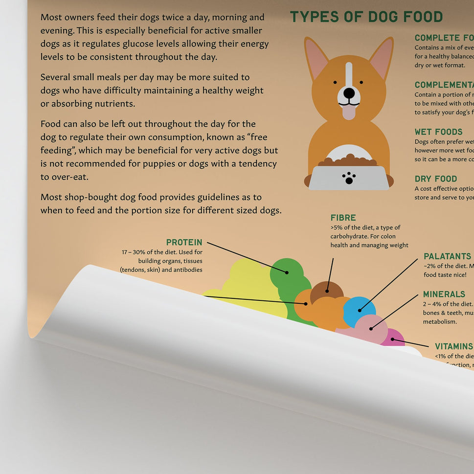Canine Health & Safety: A Guide to Canine Nutrition Chart / Poster