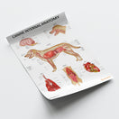 Switch Canine Internal Anatomy Chart / Poster 3 image