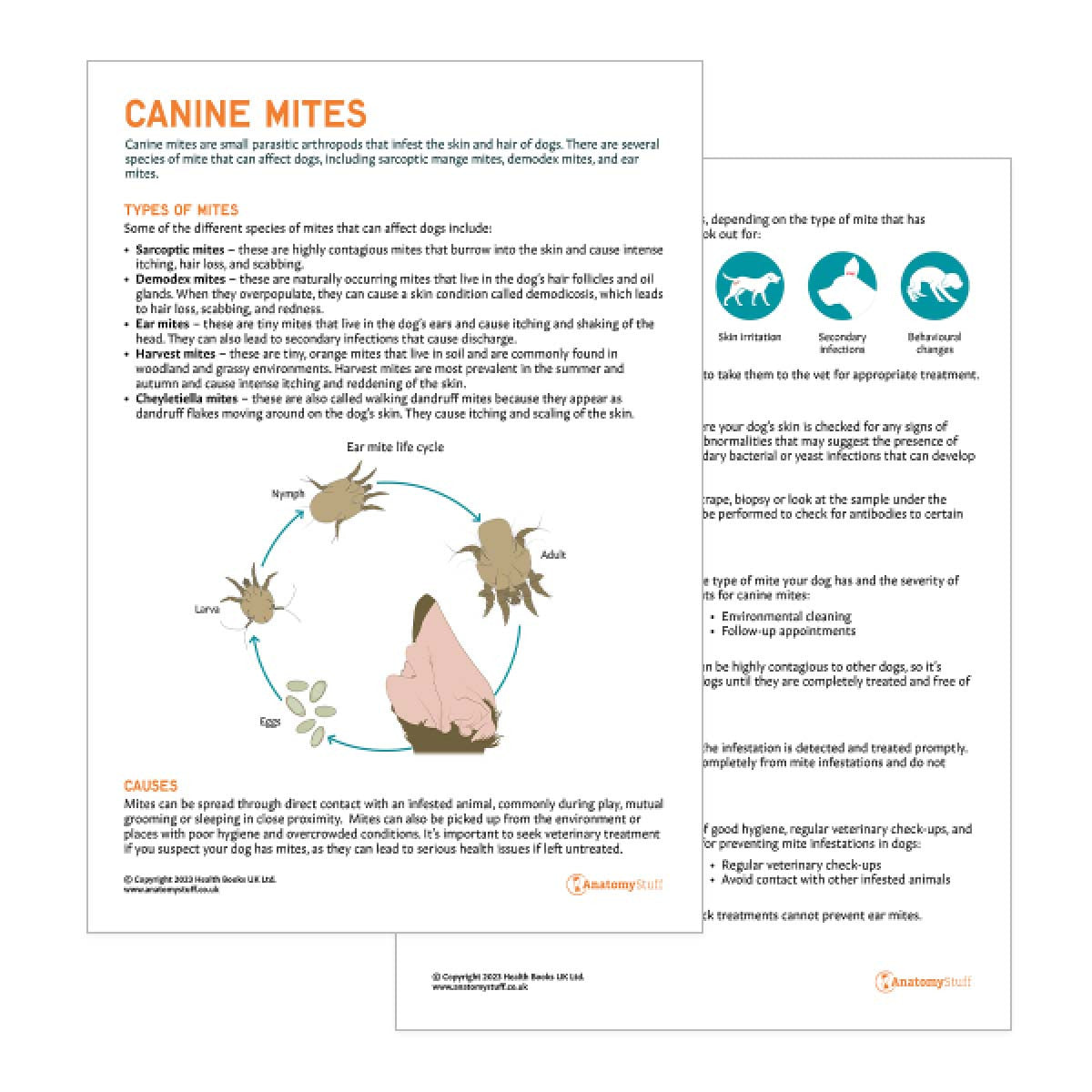 Canine Mites Pet Owner Education Handout (Printable PDF)