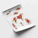 Switch Canine Muscular Anatomy Chart / Poster 2 image