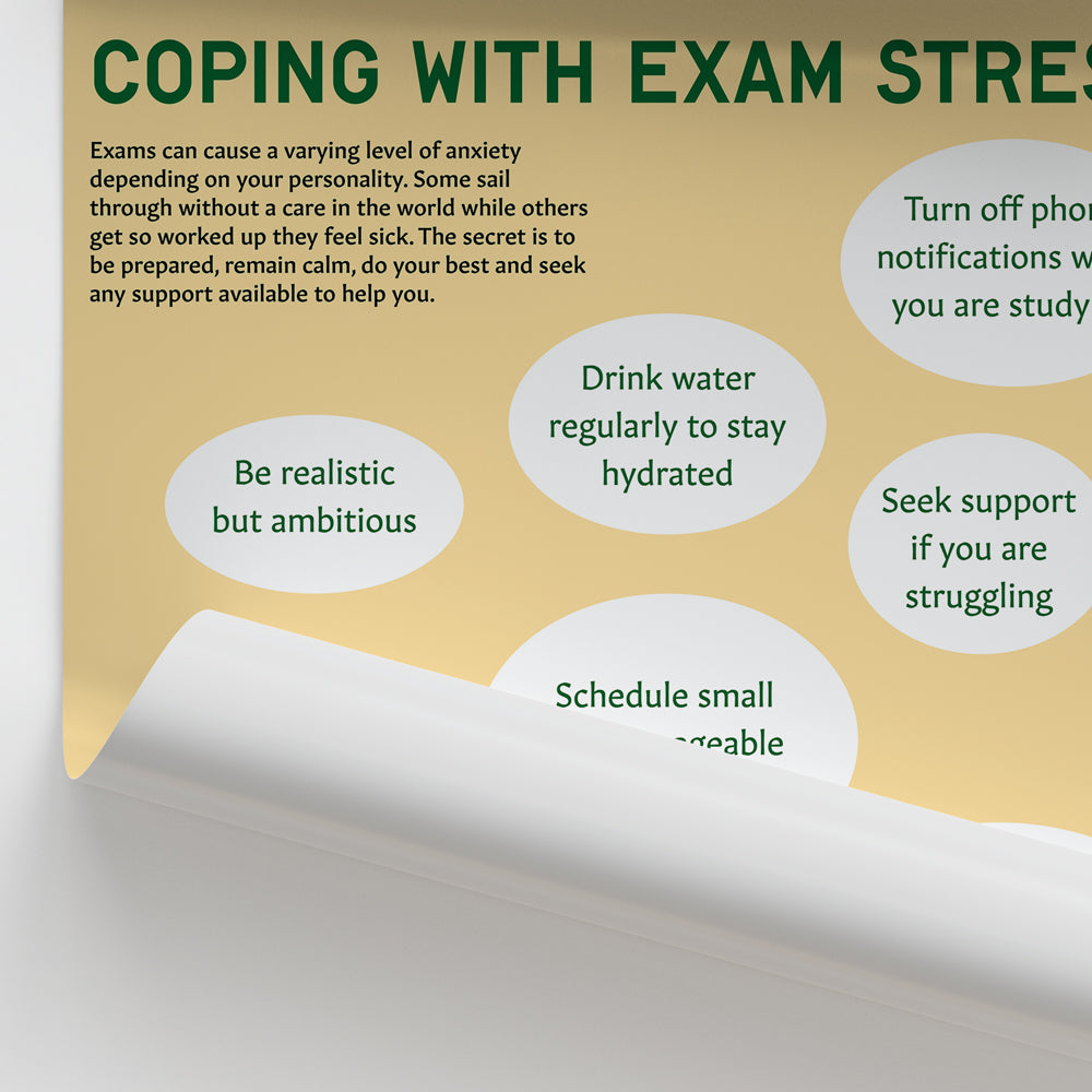 Coping with Exam Stress Chart / Poster
