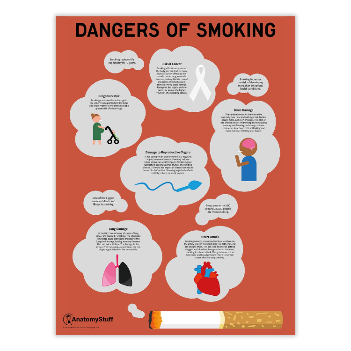 Dangers of Smoking Poster | Tobacco & Cigarette Health Chart – AnatomyStuff