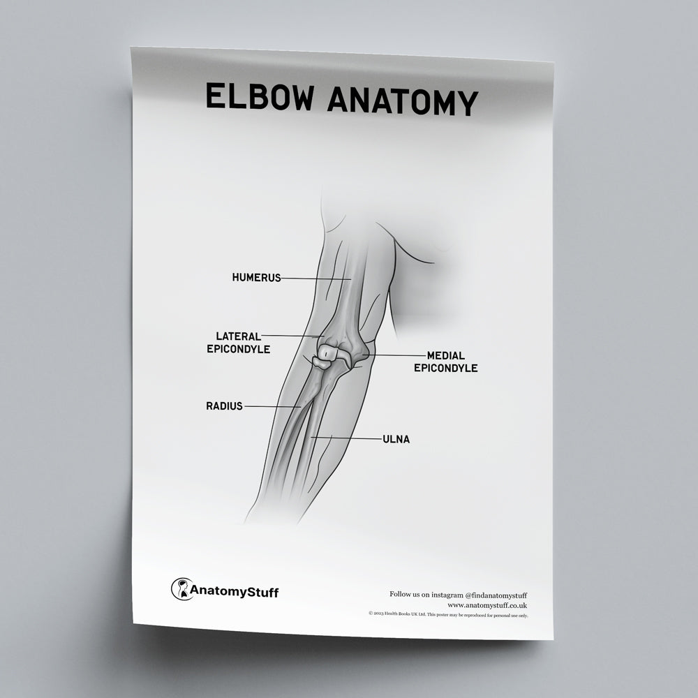 Elbow Anatomy Poster PDF | Digital Download | AnatomyStuff