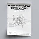 Switch Female Reproductive System Anatomy Activity Sheet PDF 2 image