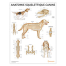 Switch Anatomie Squelettique Canine Chart / Poster - French 1 image