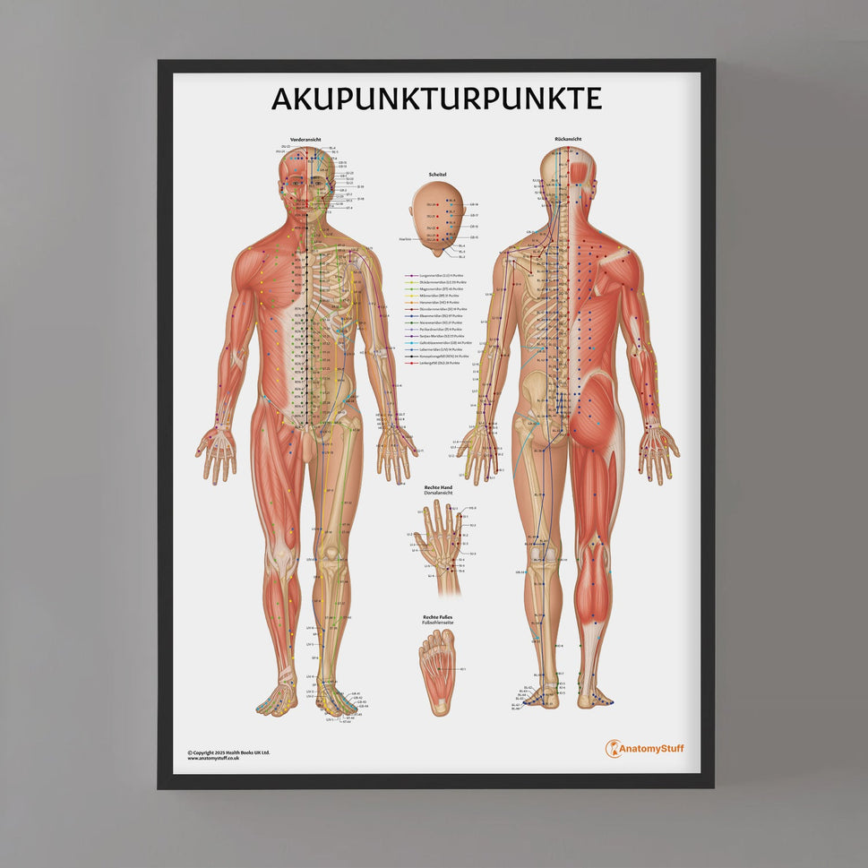 Akupunkturpunkte Chart / Poster - German