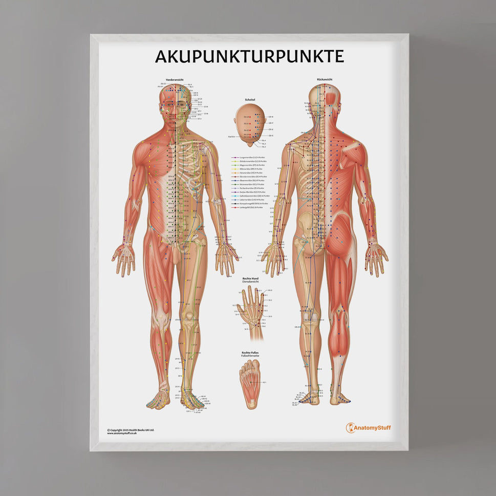 Akupunkturpunkte Chart / Poster - German