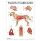 Switch Innere Anatomie des Hundes Chart / Poster - German 1 image