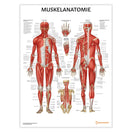 Switch Muskelanatomie Chart / Poster - German 1 image