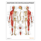 Switch Anatomie des Bewegungsapparat Chart / Poster - German 1 image