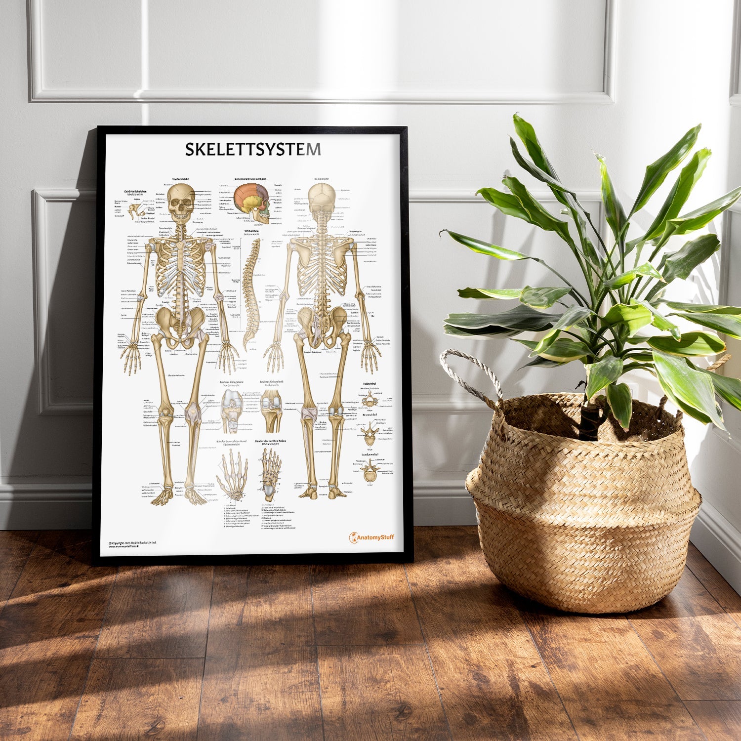 Skelettsystem Chart / Poster - German