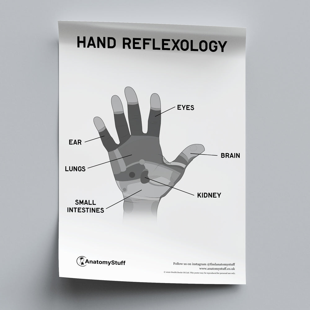 Hand Reflexology PDF Poster | Wellness Chart Download – AnatomyStuff