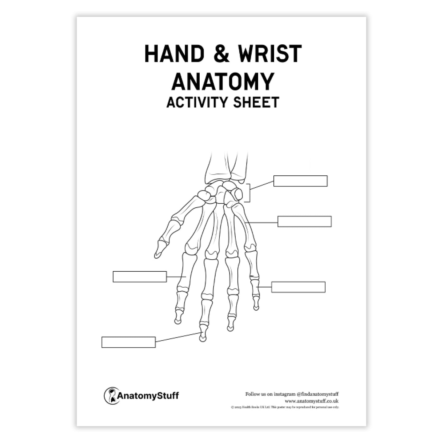Hand & Wrist Anatomy Activity Sheet | Anatomy PDF Download – AnatomyStuff