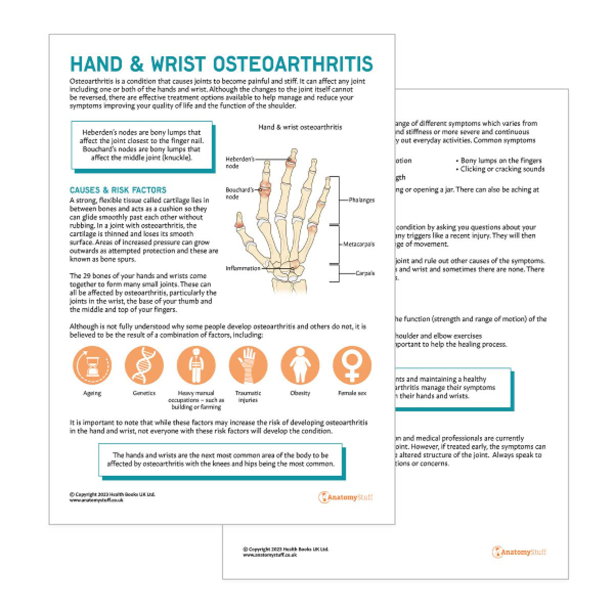 Hand & Wrist Osteoarthritis Patient Education Handout (Printable PDF)