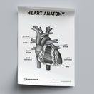 Switch Heart Anatomy Poster PDF 2 image