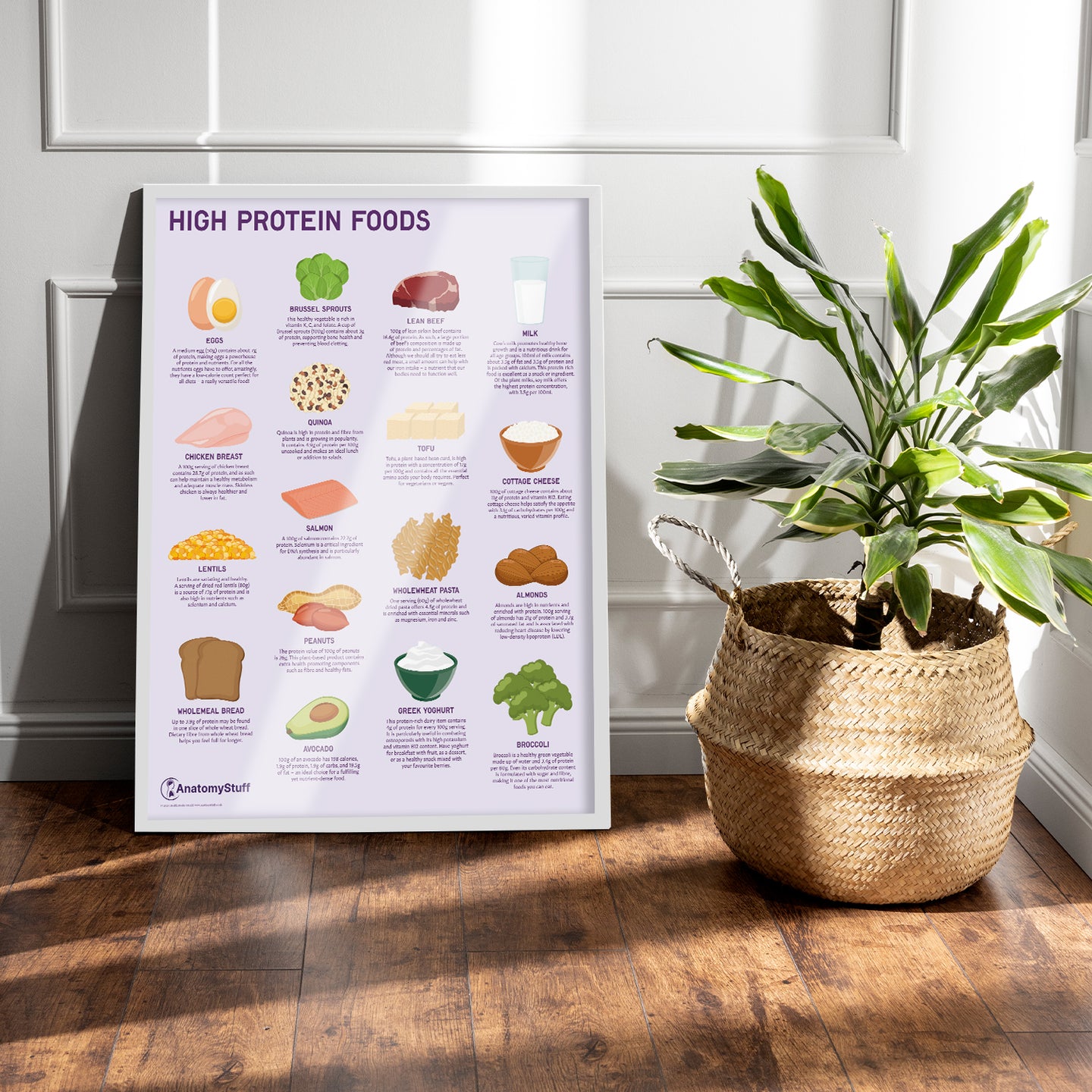 Protein-Rich Foods Poster | Illustrated High Protein Chart – AnatomyStuff