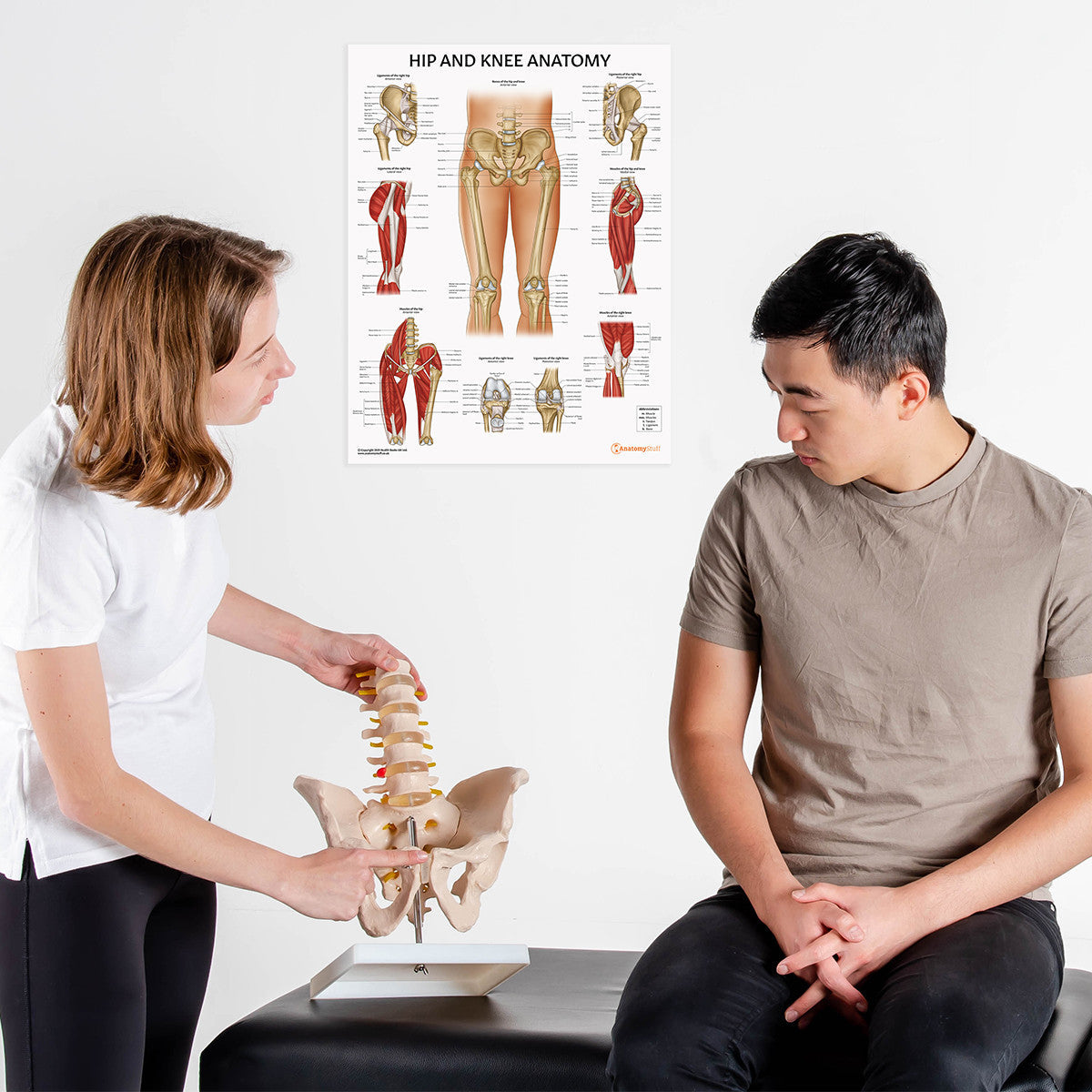 Shop Anatomy