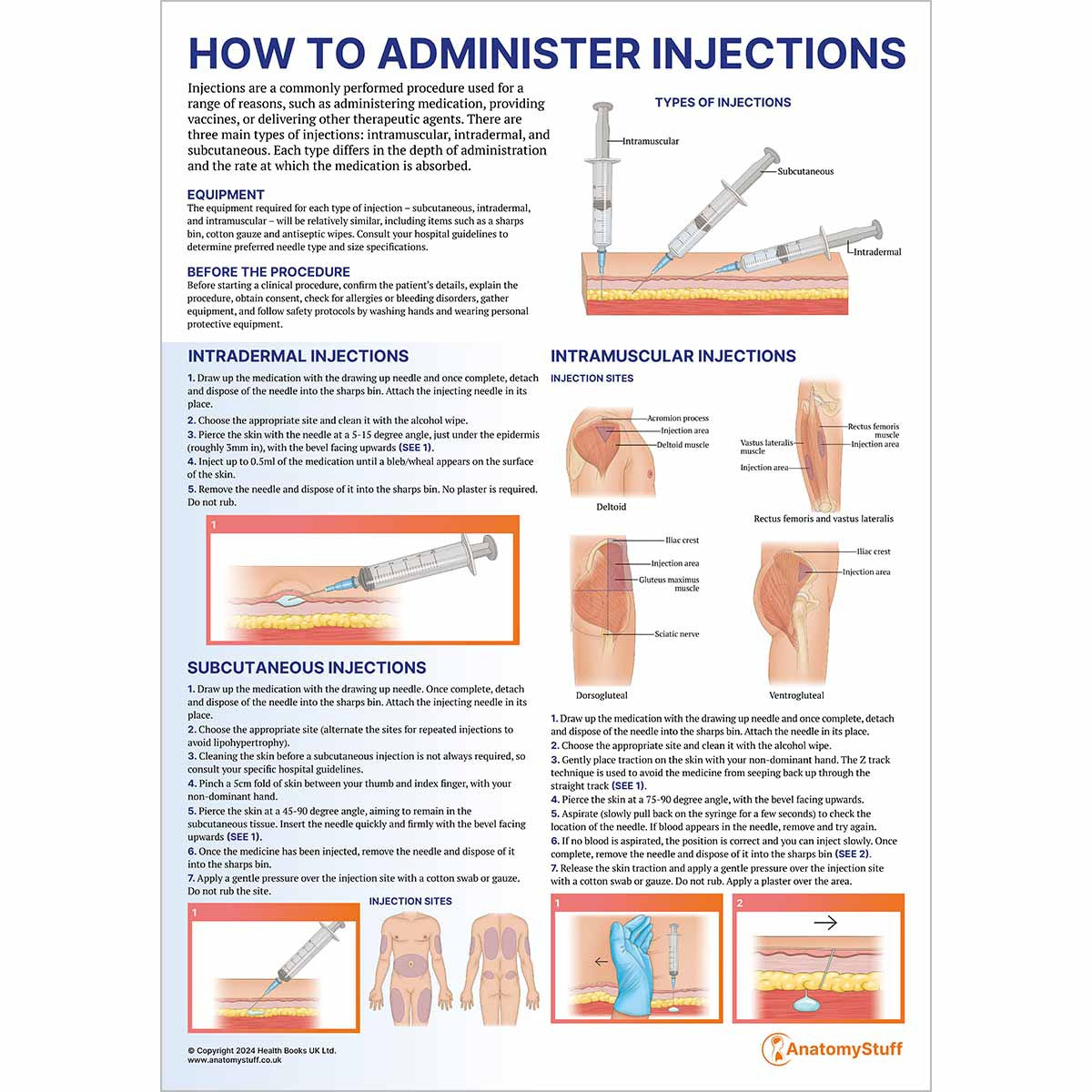 Anatomy Chart Collections | Poster Bundles – AnatomyStuff
