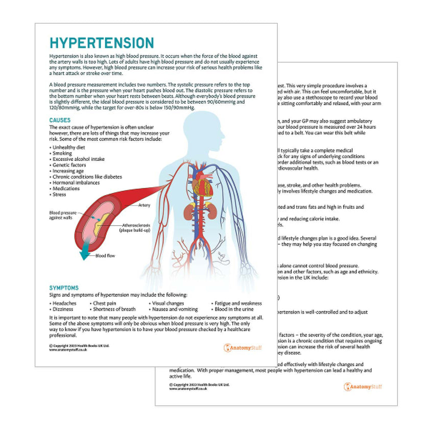 Hypertension Patient Education Handout Printable PDF Download