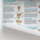 Switch Injuries &amp; Conditions of the Shoulder Chart / Poster 2 image