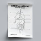 Switch Internal Organs Activity Sheet PDF 2 image