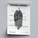Switch Internal Organs Poster PDF 2 image
