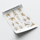 Switch Ligaments of the Joints Chart / Poster 3 image