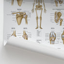 Switch Ligaments of the Joints Chart / Poster 2 image