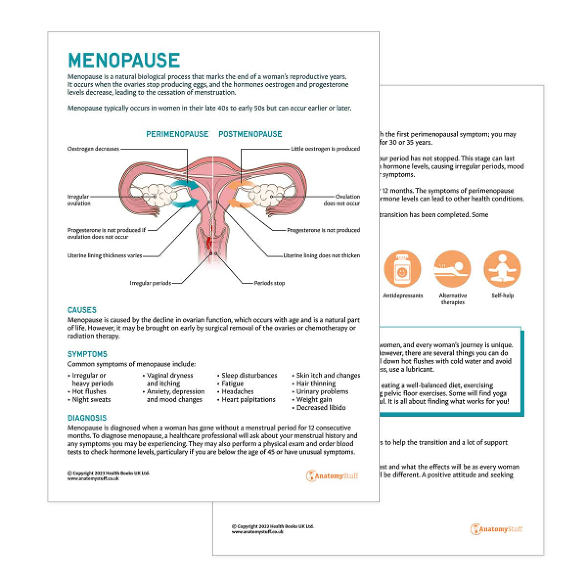 Female Reproductive System Anatomy Posters – Page 2 – AnatomyStuff